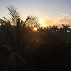 Meet your Posher, Stef